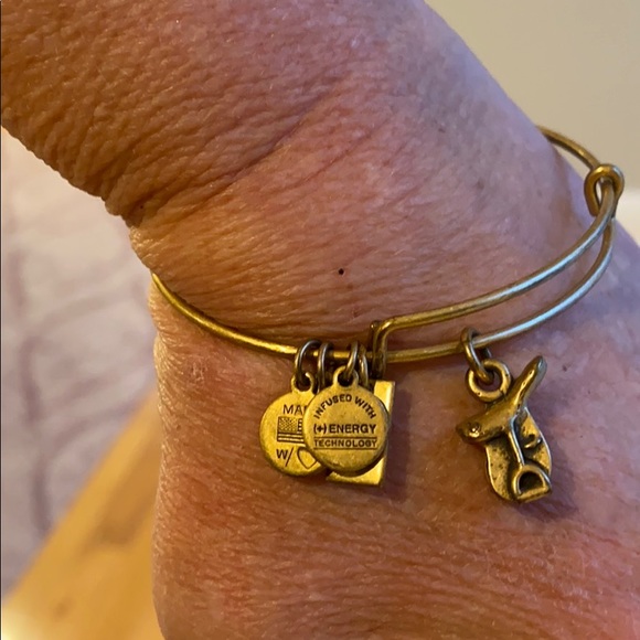 Alex and Ani saddle bangle bracelet - Picture 1 of 2
